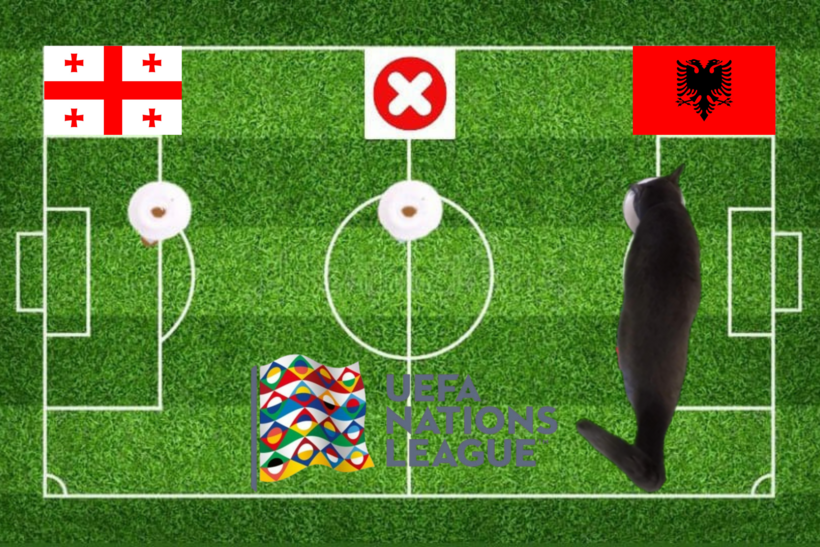 Lựa chọn của chú mèo tiên tri trước trận Albania vs Georgia