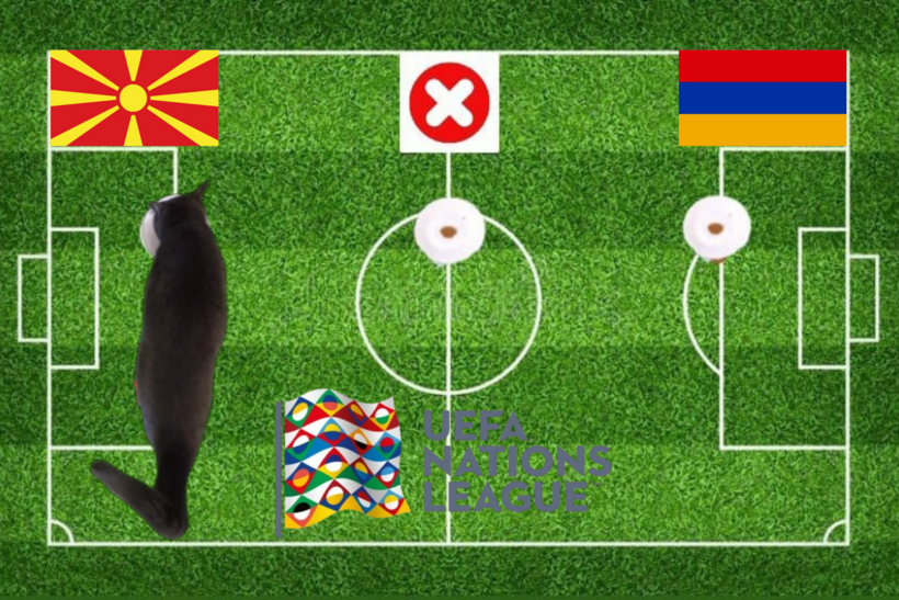 Lựa chọn của chú mèo tiên tri trước trận đấu Bắc Macedonia vs Armenia