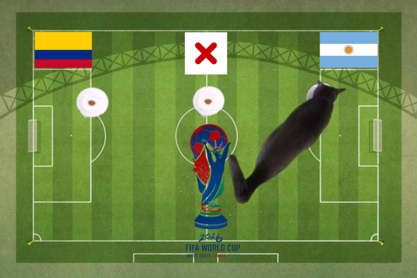 Lựa chọn của chú mèo tiên tri trước trận đấu Colombia vs Argentina