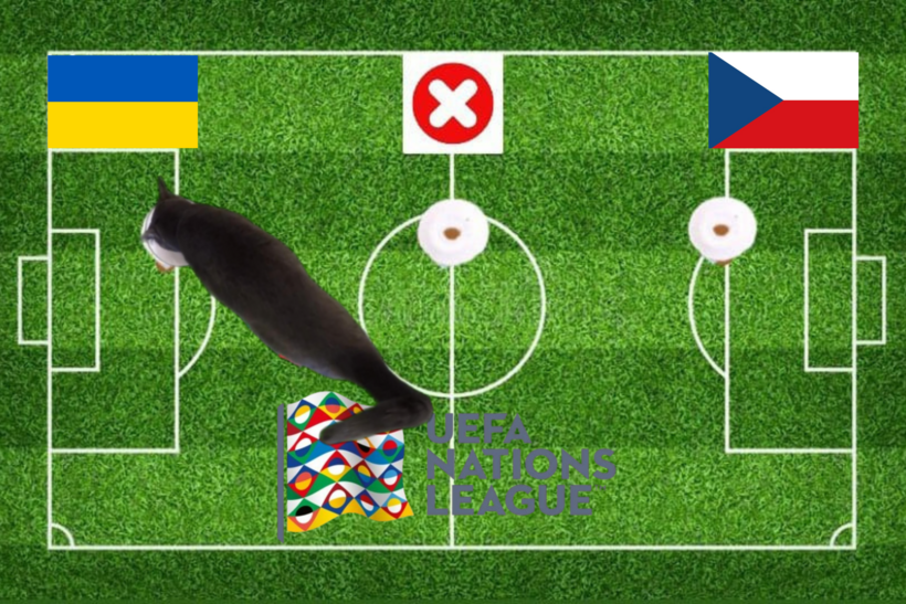 Lựa chọn của chú mèo tiên tri trước trận Séc vs Ukraine