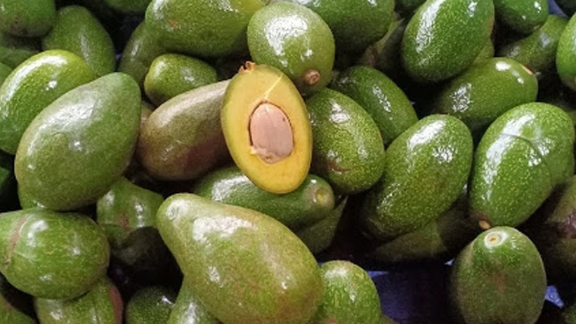 Phụ nữ tiền mãn kinh nên ăn gì? - 3