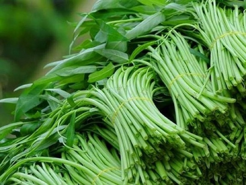 Nếu bạn thuộc một trong những nhóm người trên, hãy hạn chế hoặc tránh ăn rau muống để bảo vệ sức khỏe của mình.