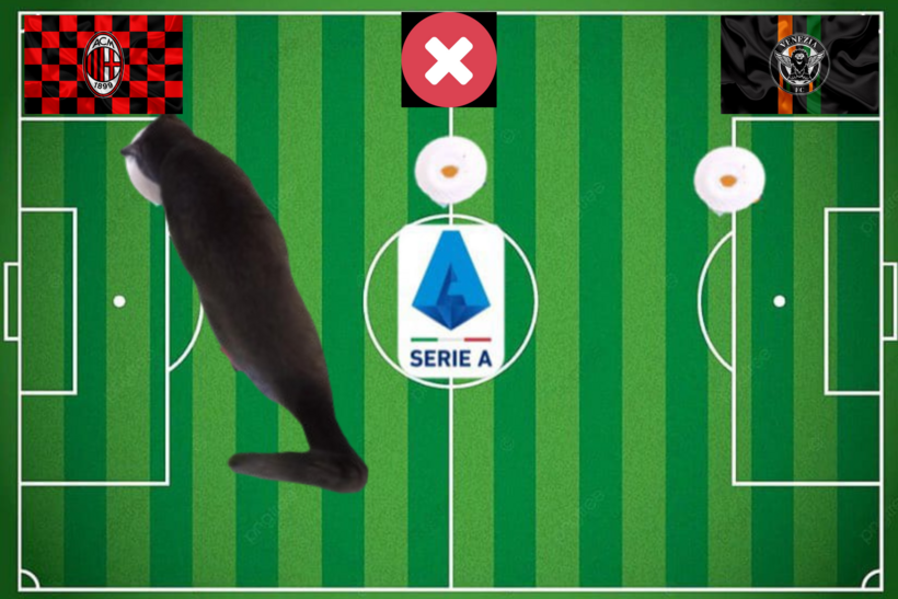 Mèo tiên tri lựa chọn trước trận đấu AC Milan vs Venezia
