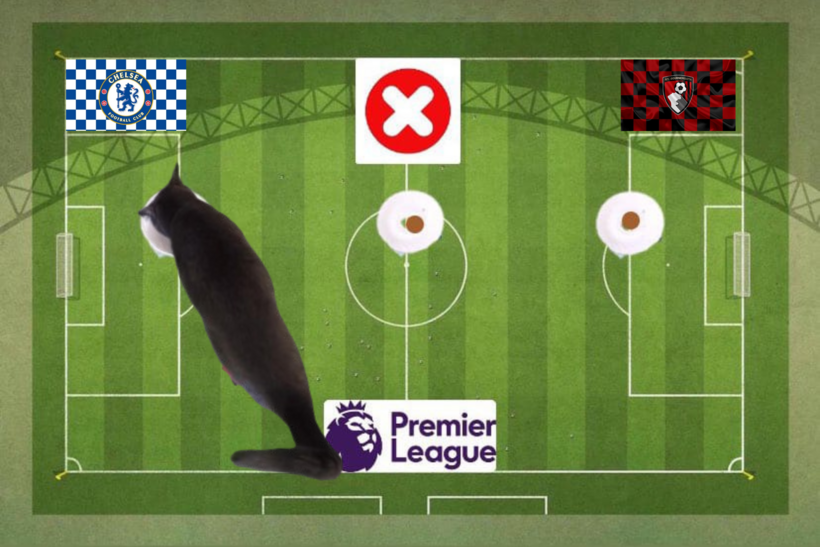 Dự đoán của mèo tiên tri trước trận Bournemouth vs Chelsea