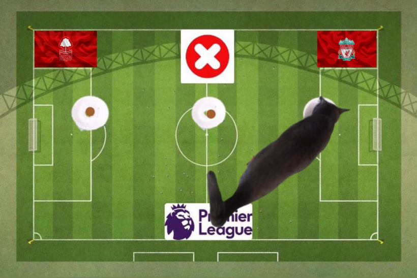 Lựa chọn của chú mèo tiên tri trước trận đấu Liverpool vs Nottingham