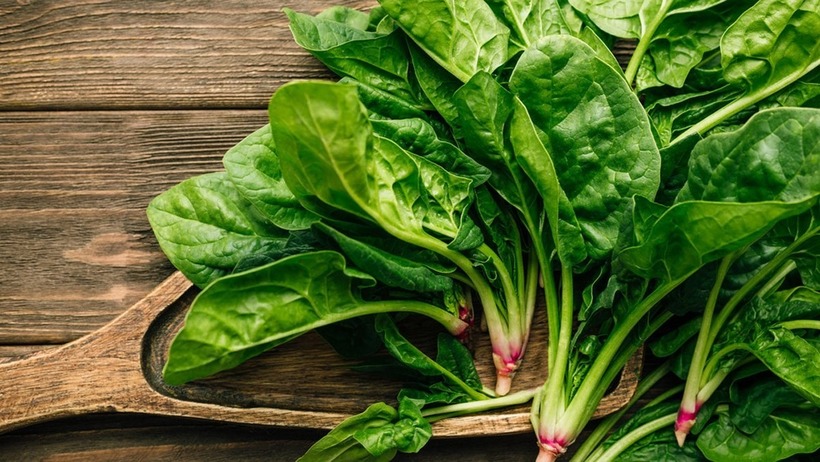 Axit folic, hay còn gọi là vitamin B9, đóng vai trò quan trọng trong quá trình sản sinh tế bào mới, đặc biệt là hồng cầu.