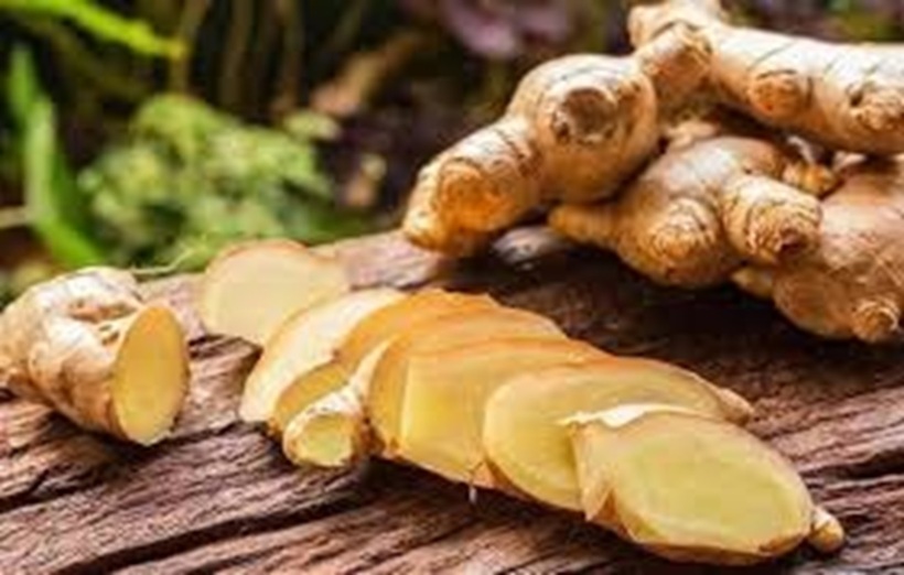 Từ lâu đã được ví như "thần dược" nhờ những công dụng tuyệt vời cho sức khỏe.