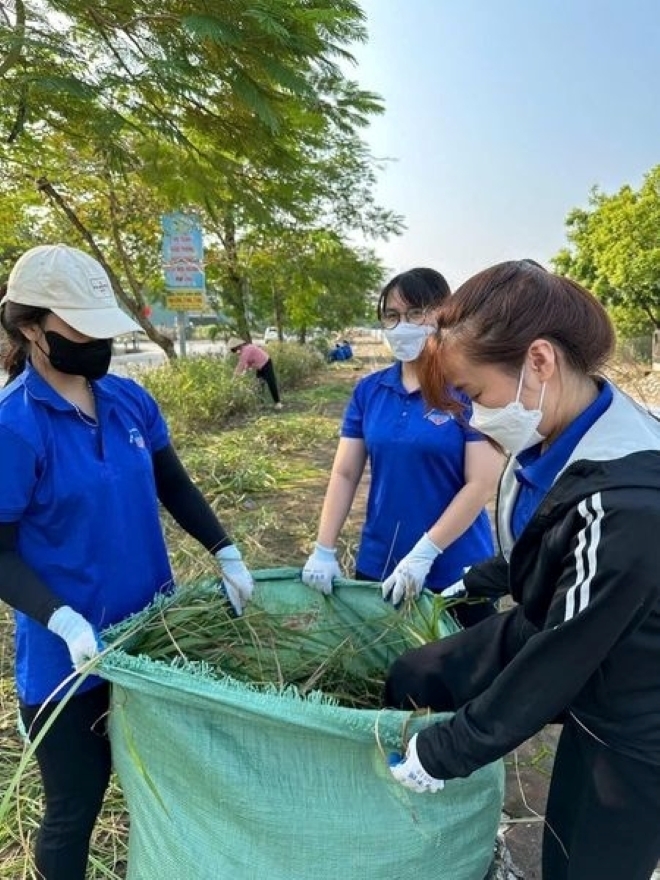 Chi đoàn Trường Tiểu học Lê Quý Đôn (Long Biên) phối hợp cùng các chi đoàn trên địa bàn phường Phúc Lợi tổng vệ sinh dọn dẹp, chuyển cây đổ đã cắt tỉa lên xe chuyên chở, phát quang bụi cây lấn lòng lề đường.