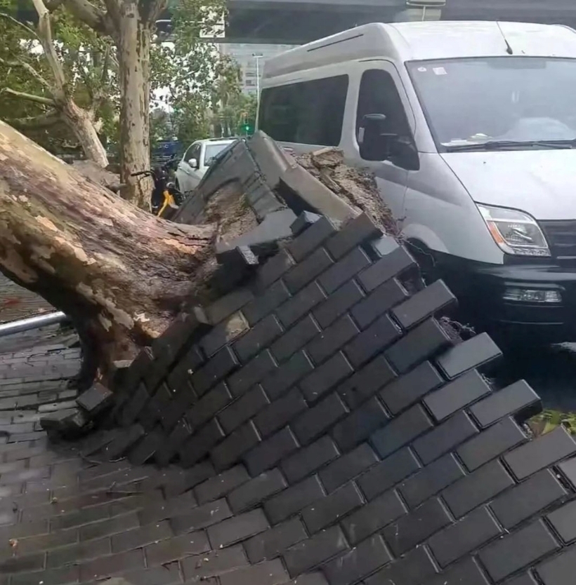 Tân Hoa Xã dẫn lời ông Thang Kiệt - Phó Giám đốc Viện nghiên cứu bão Thượng Hải thuộc Cục Khí tượng Trung Quốc, gọi bão Bebinca là "khẩu pháo cỡ nhỏ". "Ban đầu chúng tôi lo lắng rằng bão Bebinca sẽ mạnh lên nhanh như siêu bão Saomai hồi năm 2006. Chúng tôi vui mừng vì điều đó đã không xảy ra", ông cho hay.