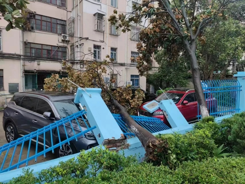 Tuy nhiên, theo ông Thang Kiệt, bão Bebinca vẫn “đánh lừa” ở một mức độ nhất định. Tác động mạnh nhất của Bebinca không phải  là giai đoạn vừa mới đổ bộ, khiến mọi người đều nghĩ rằng cơn bão này đã qua đi nhưng thật ra nó mạnh hơn về sau.