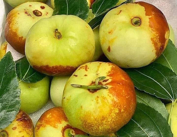 Với hương vị ngọt ngào, tính ấm và giàu dưỡng chất, hồng táo được mệnh danh là "vua chống lão hóa tự nhiên".