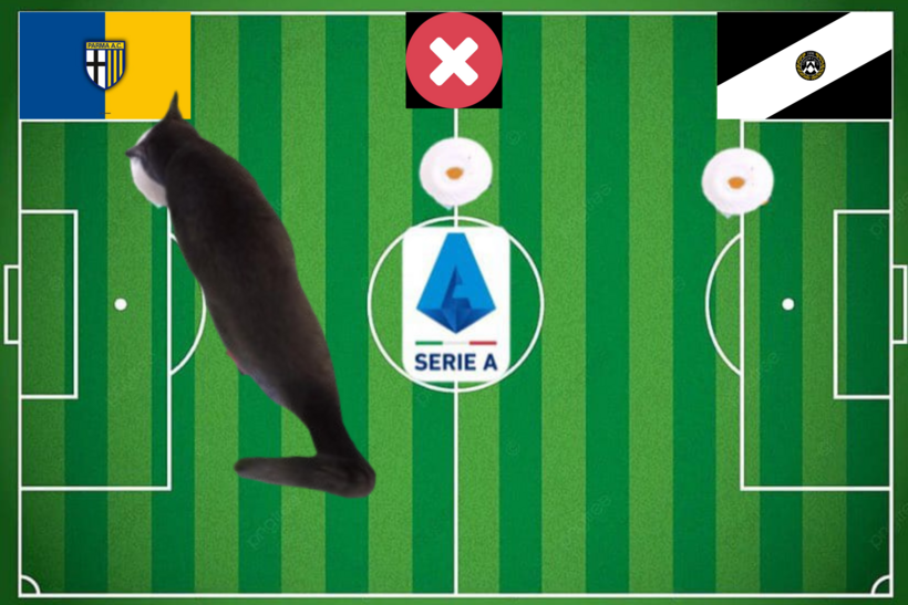 Lựa chọn của chú mèo tiên tri trước trận đấu Parma vs Udinese