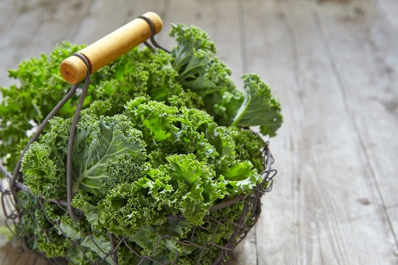 Cải xoăn nổi tiếng với hàm lượng vitamin K rất cao, giúp duy trì sức khỏe xương và ngăn ngừa loãng xương.