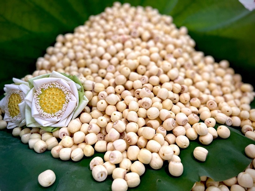 Những lưu ý khi sử dụng hạt sen?