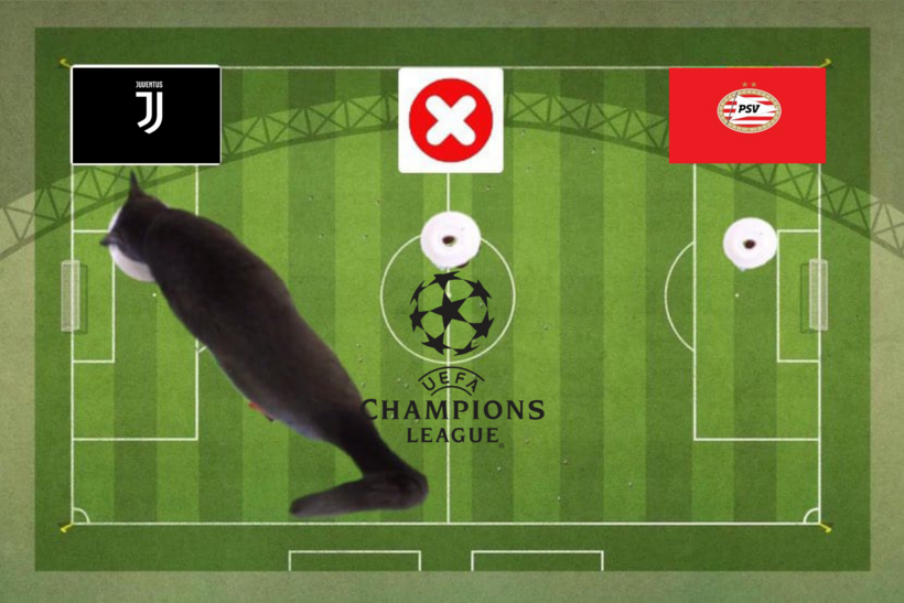 Lựa chọn của chú mèo tiên tri trước trận Juventus vs PSV