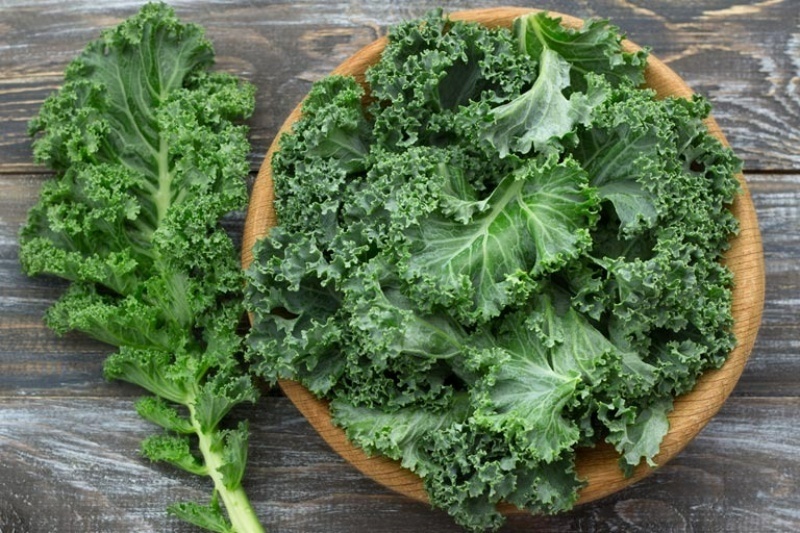 Cải xoăn giàu vitamin C tan trong nước và beta-carotene (tiền chất của vitamin A).
