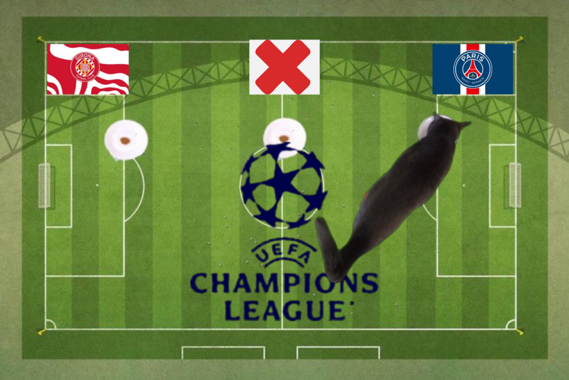 Lựa chọn của chú mèo tiên tri trước cặp đấu PSG vs Girona