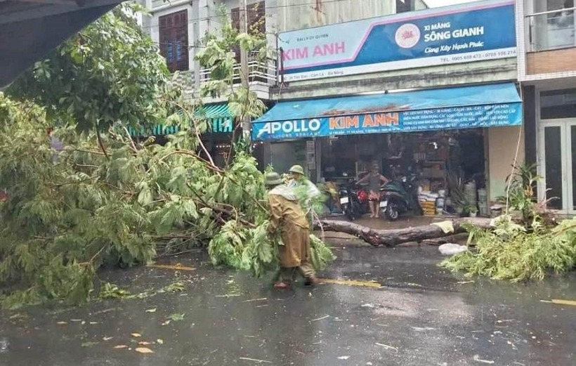 Lực lượng chức năng dọn dẹp cây cối đổ ngã.