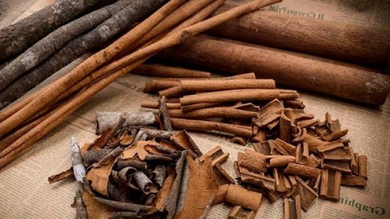 Quế chi là một loại thảo dược quý giá được sử dụng từ hàng ngàn năm nay trong y học cổ truyền và ẩm thực.