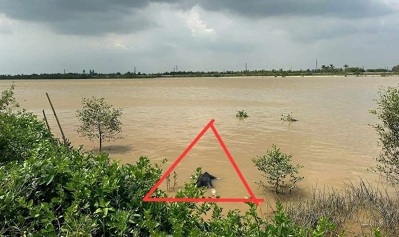 Hiện trường nơi phát hiện thi thể nam giới nổi trên sông Trà Lý, Thái Bình. Ảnh: Lao động