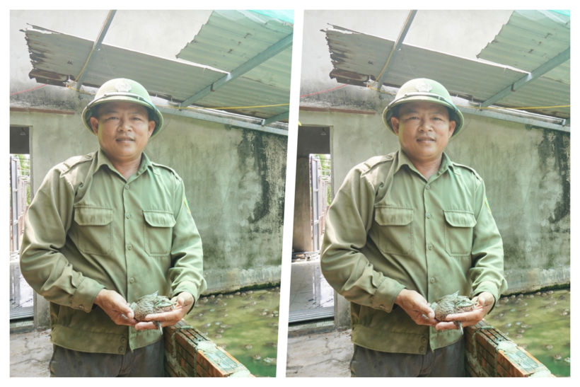 Anh Lê Văn Thành thành công với mô hình nuôi ếch, mỗi năm thu lãi hơn 200 triệu đồng. Ảnh: Dân Việt