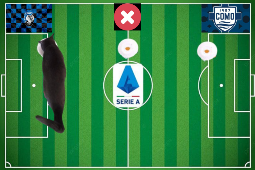 Lựa chọn của chú mèo tiên tri trước cặp đấu Atalanta vs Como