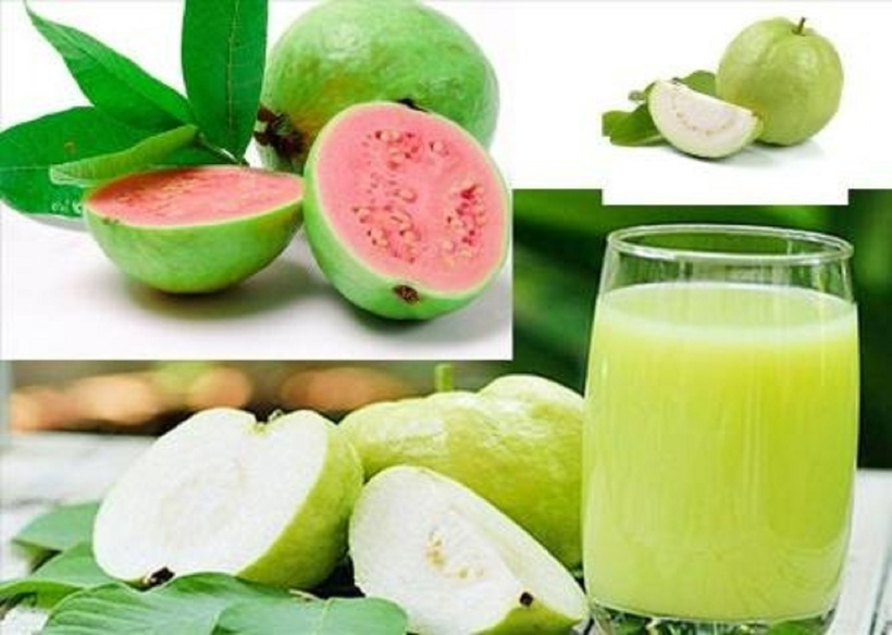 Ổi là loại trái cây nhiệt đới được nhiều người yêu thích bởi hương vị thơm ngon và giàu dinh dưỡng.