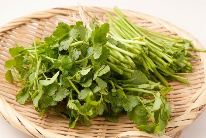 Rau cần nước chứa nhiều vitamin và khoáng chất, đặc biệt là sắt và kẽm, giúp nuôi dưỡng tóc từ gốc đến ngọn.