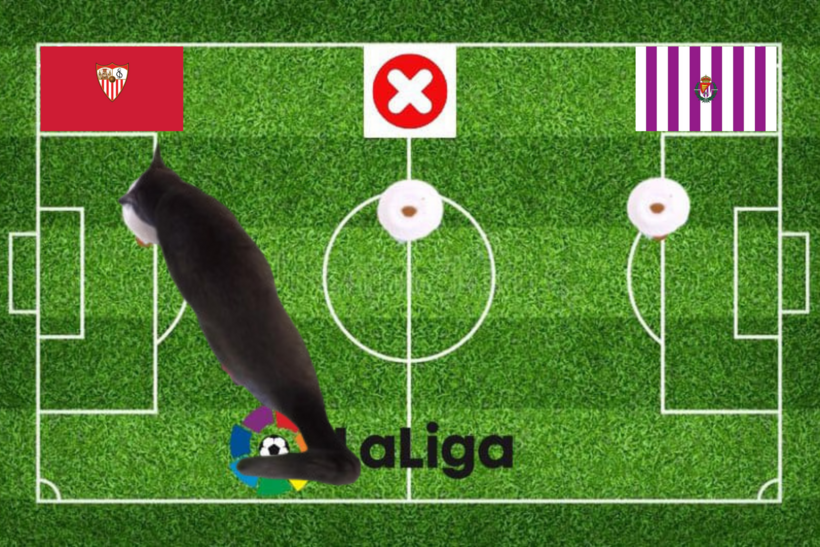 Lựa chọn của chú mèo tiên tri trước trận Sevilla vs Valladolid