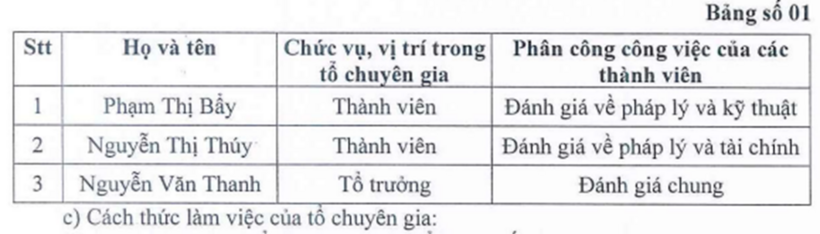 Danh sách thành viên tổ chuyên gia.
