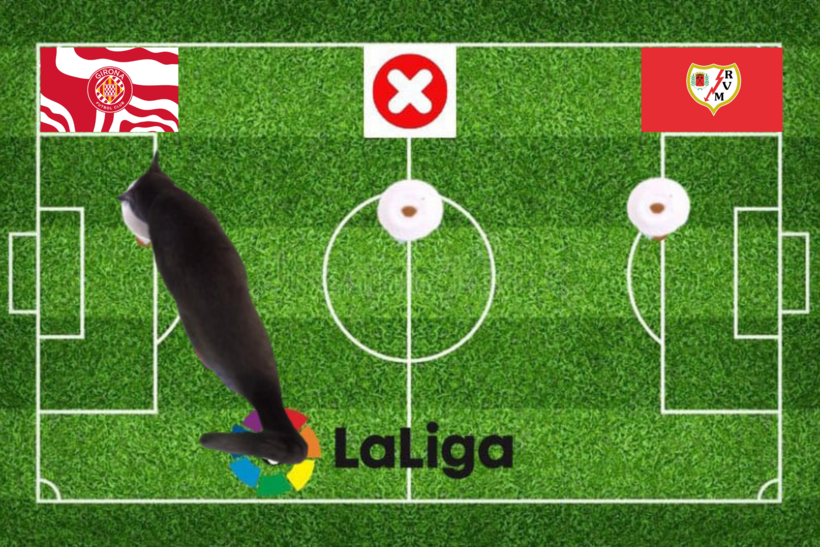 Lựa chọn của chú mèo tiên tri trước trận Girona vs Vallecano