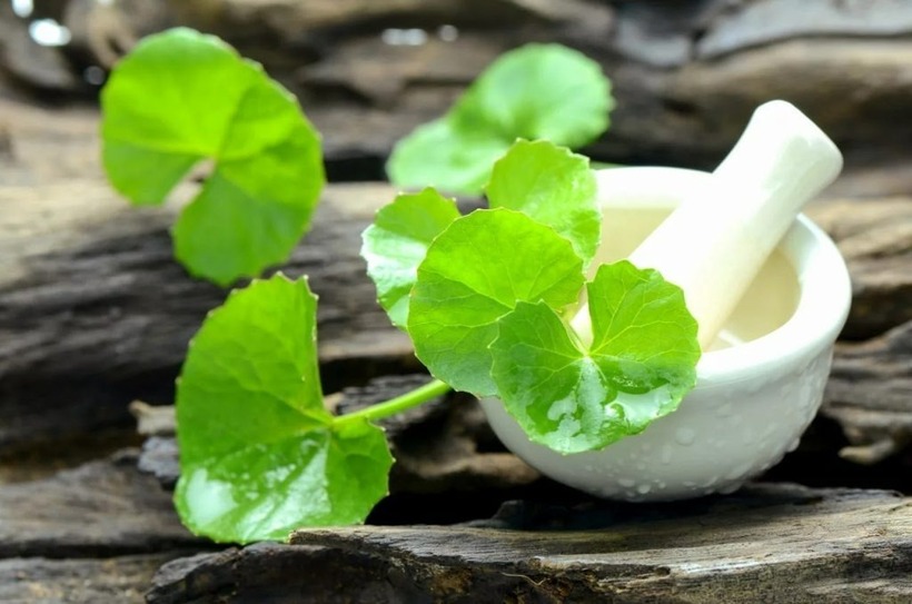 Không nên lạm dụng rau má, đặc biệt là khi sử dụng dưới dạng nước ép hoặc thực phẩm chức năng.