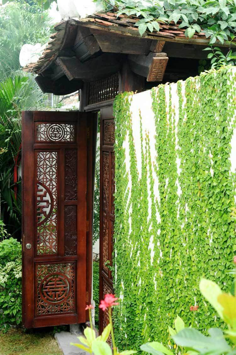 Cánh cổng gỗ nhuốm màu thời gian và hàng cây rêu phong bao quanh bờ tường rào.