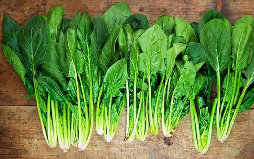 Cải bó xôi chứa nhiều vitamin K, một chất quan trọng trong quá trình đông máu.