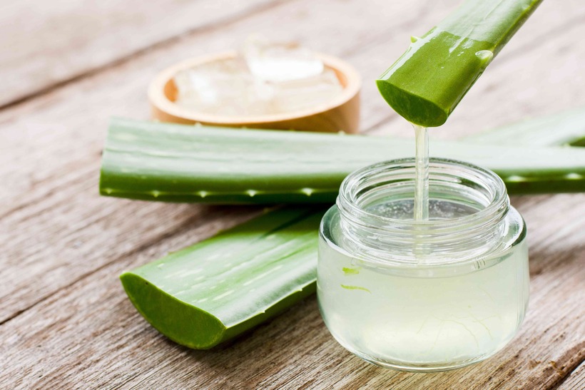Một trong những lợi ích lớn nhất của việc uống nước ép nha đam khi bụng đói là khả năng hỗ trợ tiêu hóa.