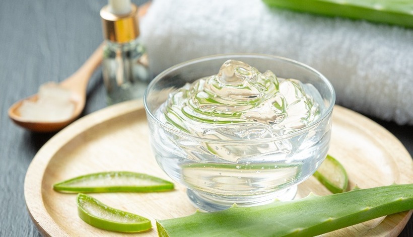 Nha đam từ lâu đã được biết đến với tác dụng làm đẹp da, giúp dưỡng ẩm, giảm viêm và làm lành các tổn thương da.