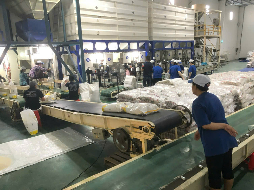 Lệnh bỏ cấm xuất khẩu của Ấn Độ được nhận định là không ảnh hưởng nhiều đến gạo Việt Nam. Ảnh minh họa