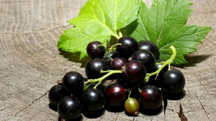 Quả lý chua đen (Blackcurrants) là loại quả giàu vitamin C thứ 2, chỉ sau quả ổi. Ảnh minh họa