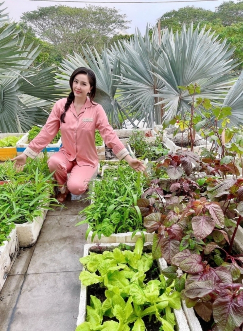 Với không gian rộng, Bảo Thy còn dành cả khu sân thượng để làm vườn rau sạch do chính tay cô tự trồng và chăm sóc.