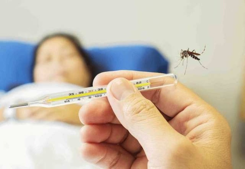 Cộng dồn năm 2024 ghi nhận 183 ổ dịch, còn 34 ổ dịch đang hoạt động. Ảnh minh họa