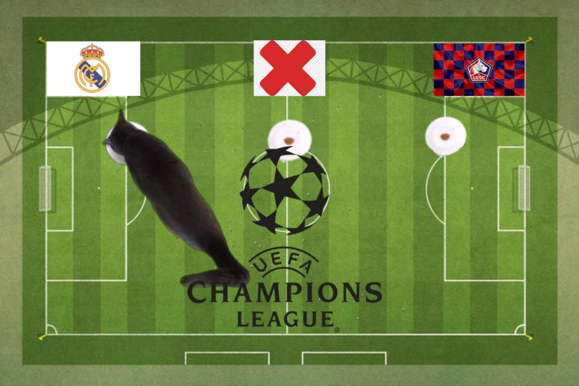 Lựa chọn của chú mèo tiên tri trước cặp đấu Lille vs Real Madrid
