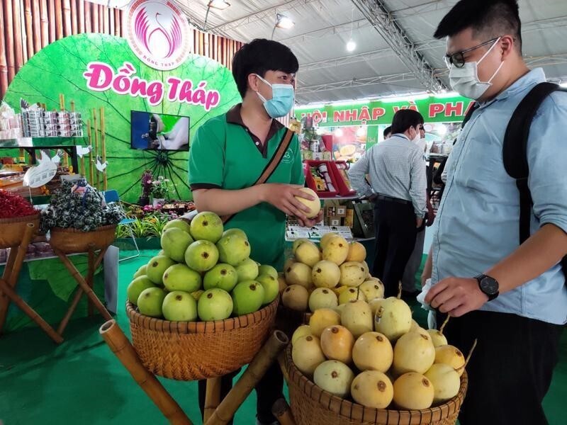 Đặc sản Xoài cát Hoà Lộc của Đồng Tháp trưng bày tại Hội nghị.