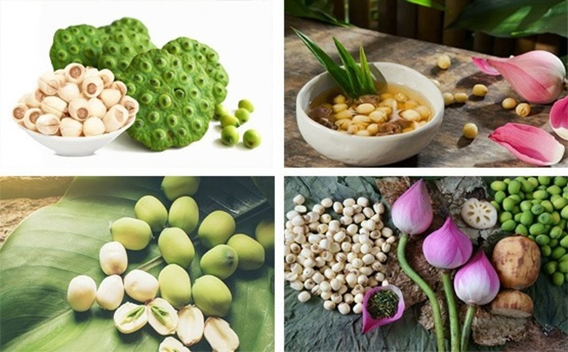 Hạt sen không chỉ có hương vị thơm ngon mà còn mang lại nhiều lợi ích cho sức khỏe, giúp cải thiện chất lượng giấc ngủ, tăng cường trí nhớ, và hỗ trợ hệ tiêu hóa.