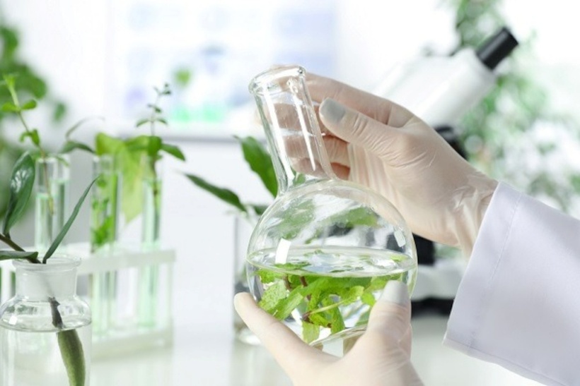 Đây là một lĩnh vực yêu cầu trình độ cao và cần nhiều năm kinh nghiệm nhưng có triển vọng nghề nghiệp ổn định.