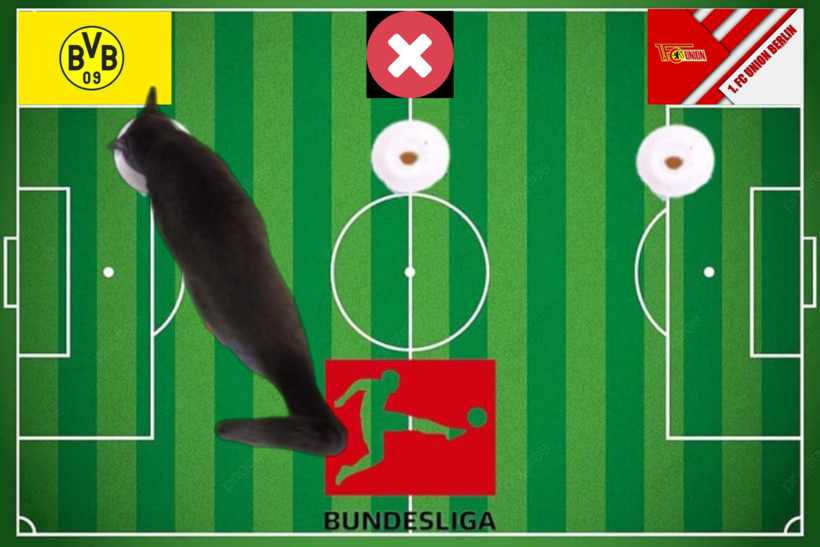 Lựa chọn của chú mèo tiên tri trước trận Union Berlin vs Dortmund