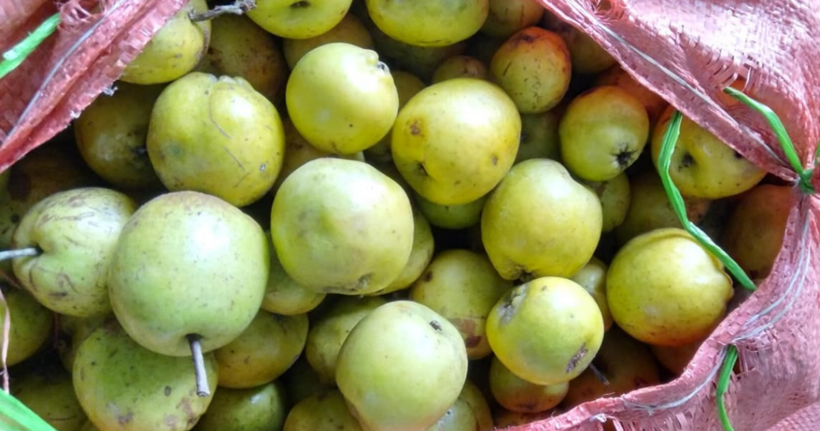 Hai đối tượng và tang vật.
