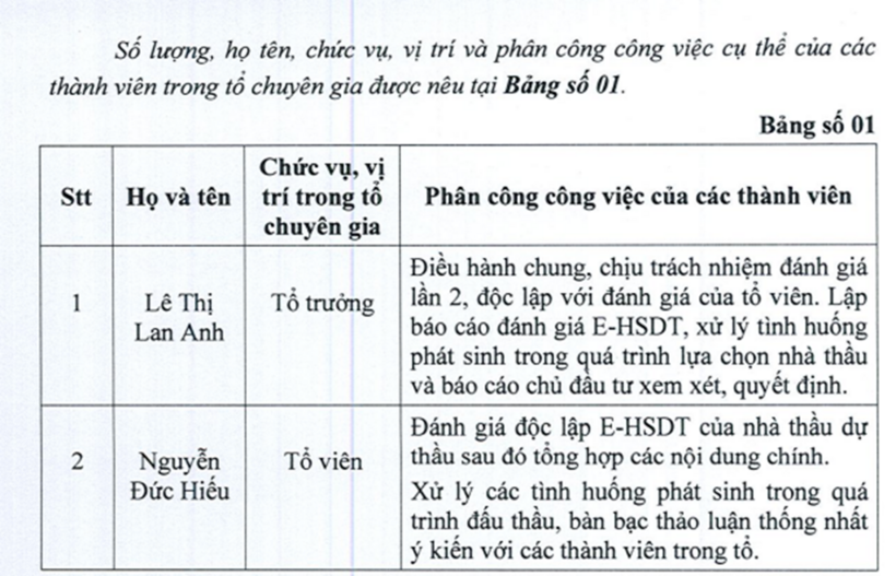 Thành viên tổ chuyên gia. Nguồn báo cáo đánh giá E-HSDT.