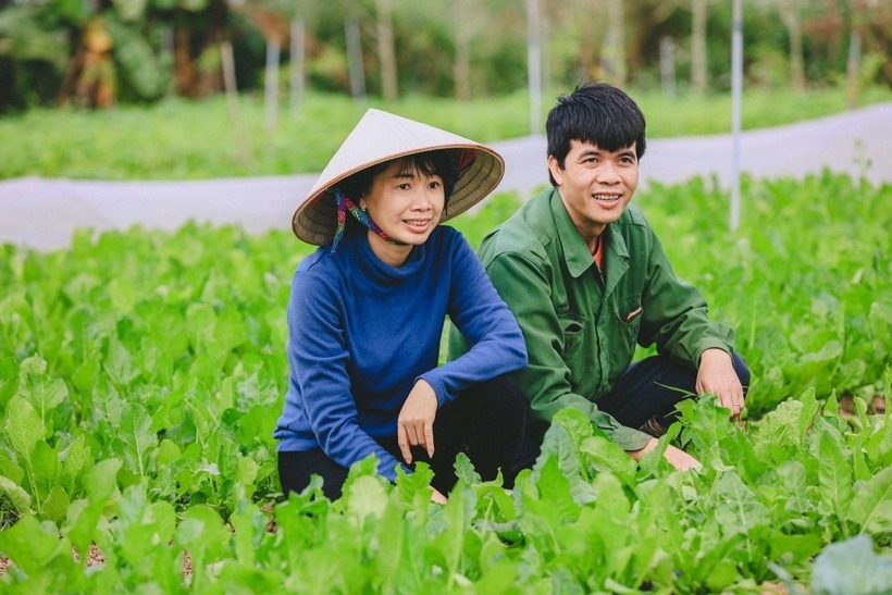 Vì "phải lòng" những cây rau xanh mướt, vợ chồng tiến sĩ trẻ bỏ phòng thí nghiệm "vác cuốc ra đồng" làm nông nghiệp. Ảnh: Dân trí