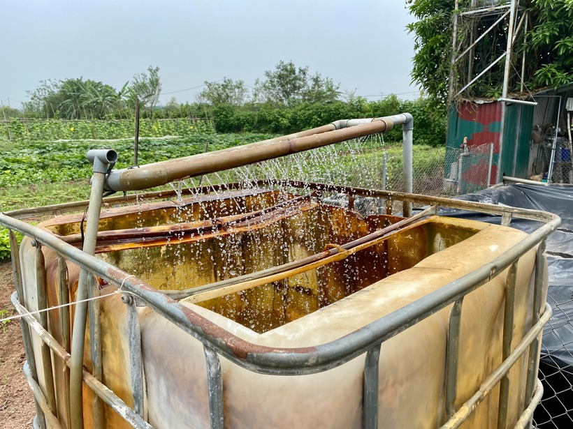 Hệ thống nước tưới là công nghệ anh Chinh tự nghiên cứu. Ảnh: Thanh niên