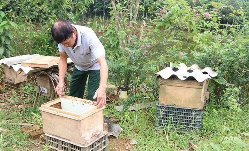 Sản phẩm mật ong của huyện được công nhận OCOP